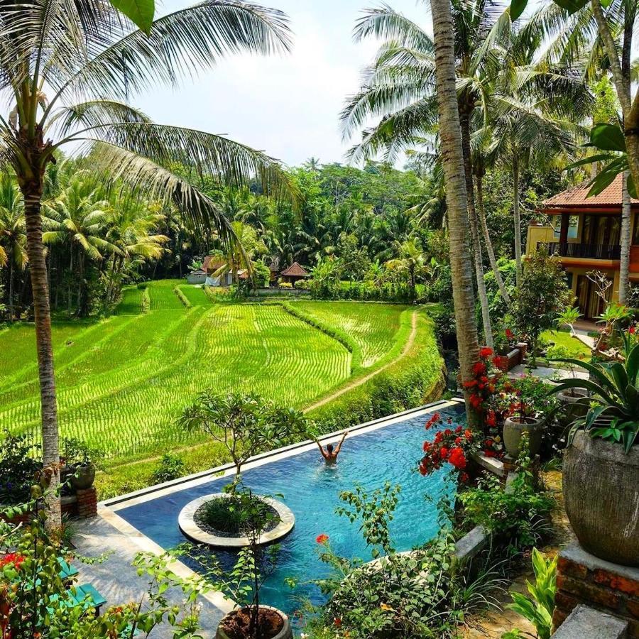 Umasari Rice Terrace Villa Табанан Экстерьер фото