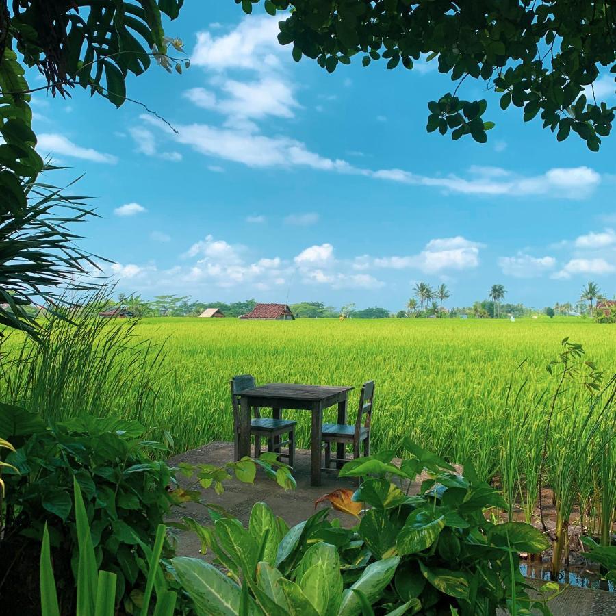 Umasari Rice Terrace Villa Табанан Экстерьер фото